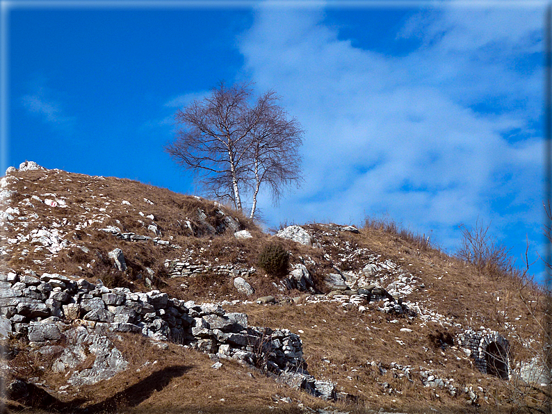 foto Salita dal Monte Tomba a Cima Grappa